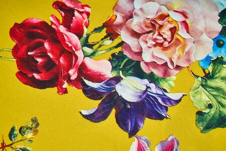 Rose cover macro