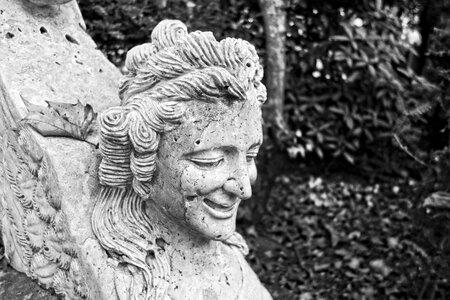 Bench bench support art