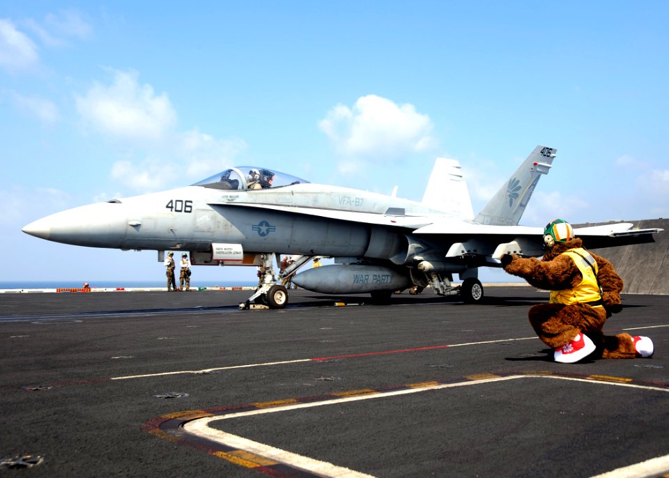 US Navy 081030-N-7571S-006 Lt. Christopher Biggs, dressed as the aircraft carrier USS Theodore Roosevelt (CVN 71) mascot