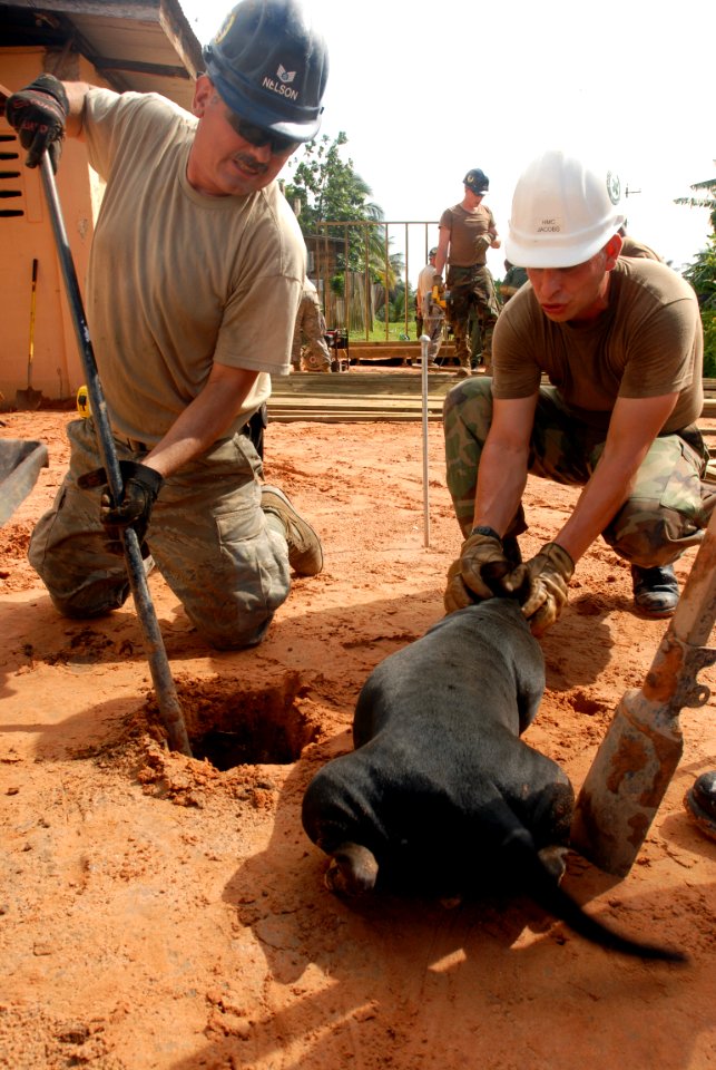 US Navy 081030-N-3595W-145 Air Force Staff Sgt. Chris Nelson and Chief Hospital Corpsman Casey Jacobs receive a local canine visitor while helping renovate the All in One Child Development Center