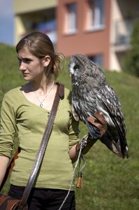 Falconer woman bird photo