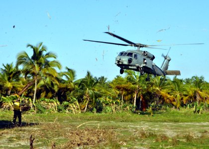US Navy 100123-N-4124C-005 An SH-60B Sea Hawk helicopter assigned to Screaming Seagulls of Helicopter Anti-submarine Squadron Light (HSL) 46,