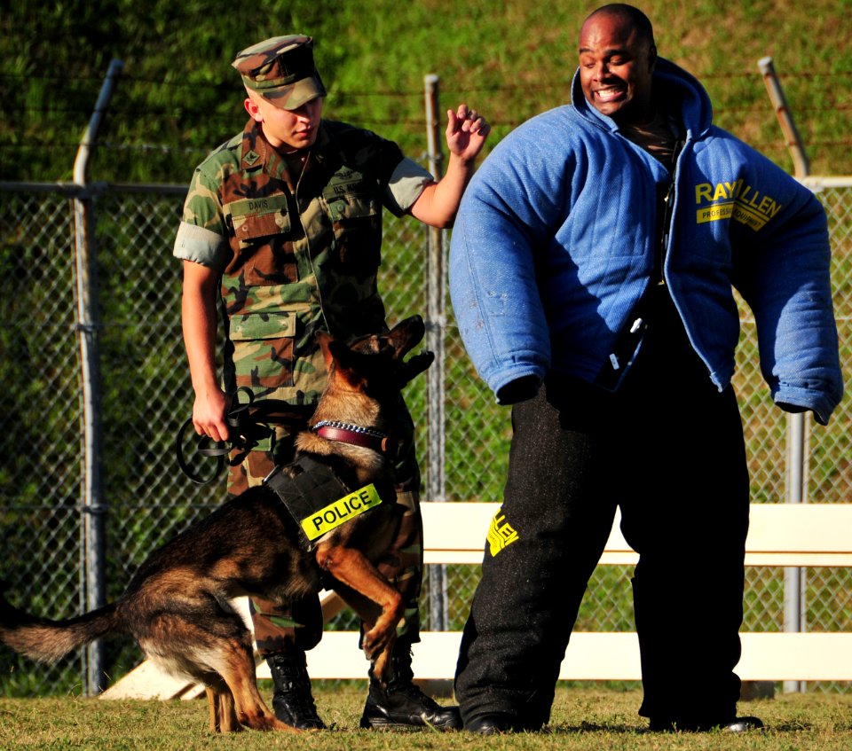 US Navy 081113-N-0807W-288 Fleet Activities Sasebo Security Officer, Lt. j.g. Franklin Brown, right, braces himself as dog handler patrolman Master-at-Arms 2nd Class Rueben J. Davis Jr. commands his military working dog to atta