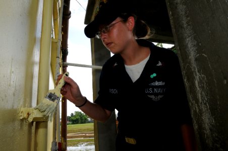 US Navy 081116-N-9774H-033 Information Systems Technician 2nd Class Sara Larson helps paint the East Ruimveldt Community Center photo