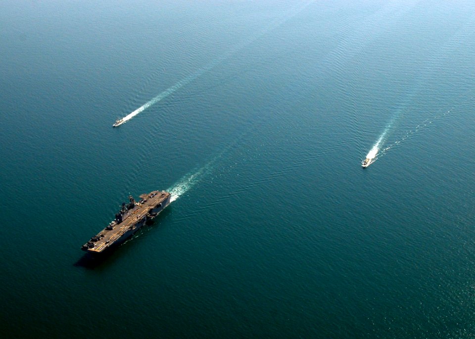 US Navy 081121-N-4236E-371 Foreign Navy ships participate in a photo exercise with the multi-purpose amphibious assault ship USS Iwo Jima (LHD 7)