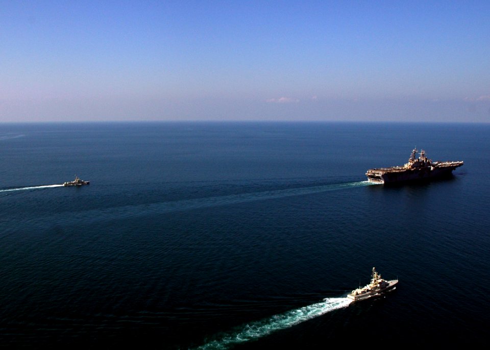 US Navy 081121-N-4236E-276 Foreign Navy ships participate in a photo exercise with the multi-purpose amphibious assault ship USS Iwo Jima (LHD 7)