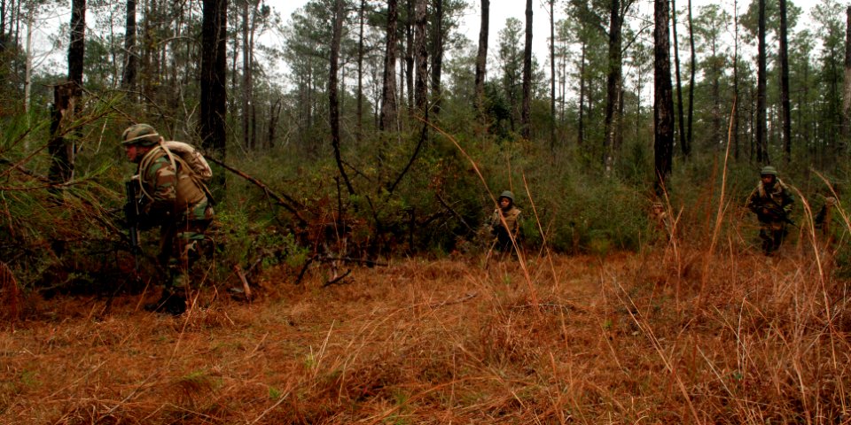US Navy 081216-N-3674H-105 Builder Senior Chief Andrew Baldwin, left, CWO Latrena Kimbrough and Ensign Darren Sablan patrol through the woods of Camp Shelby