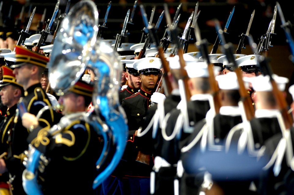 US Navy 090106-N-2855B-373 The U.S. Marine Corps Ceremonial Guard and the U.S. Navy Ceremonial Guard stand face to face during the Armed Forces Farewell Tribute Ceremony honoring President George W. Bush