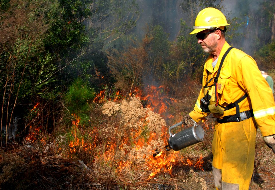 US Navy 090115-N-0486G-011 Forest technician Mike Hodge uses a drip torch to set a controlled fire at Naval Submarine Base Kings Bay