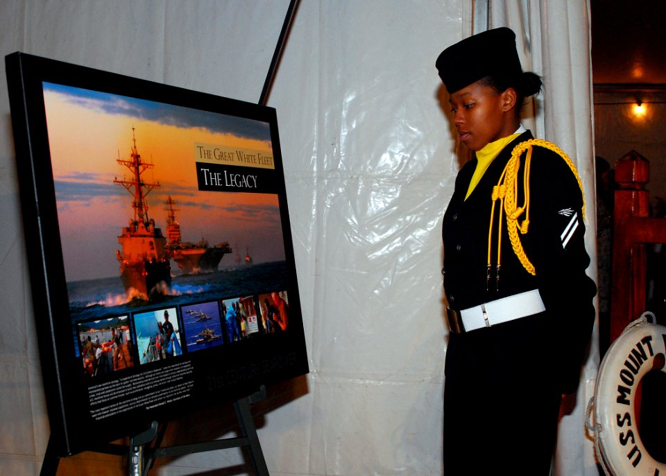 US Navy 090113-N-4044H-064 Information Systems Technician Adrianne Gates looks at a poster about the history