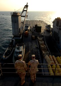 US Navy 090128-N-9134V-044 Lt. Timothy Reiswig and Lt. Cmdr. Scott Tetrick observe crane operations aboard USS Carter Hall (LSD 50)
