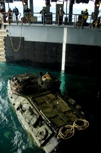 US Navy 090129-N-1251W-033 The crew of an amphibious assault vehicle assigned to the 31st Marine Expeditionary Unit aligns their craft in the well deck of the amphibious dock landing ship USS Harpers Ferry (LSD 49)