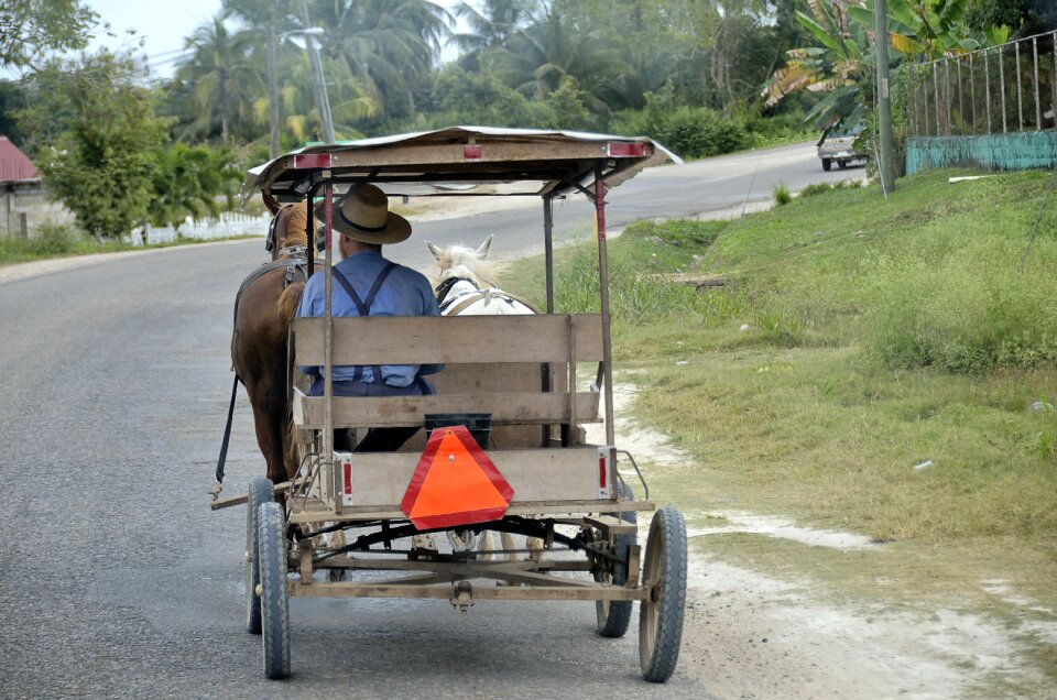 Carry transport system travel