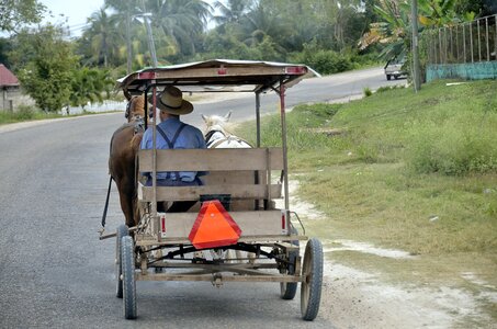 Carry transport system travel