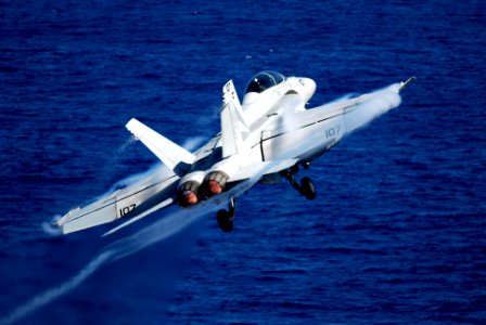 US Navy 090215-N-8157C-519 An F-A-18F Super Hornet from the