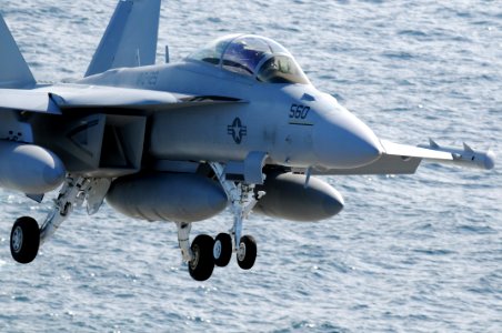 US Navy 090217-N-3610L-243 An EA-18G Growler assigned to the