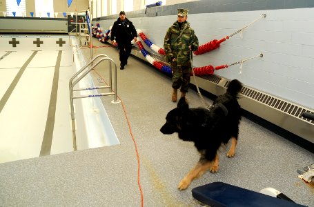 US Navy 090224-N-8467N-001 Master-At-Arms 3rd Class Shiella McLean, assigned to Naval Submarine Base New London, and base police officer Robert Faulise use military working dog, Bak, to search the base pool area for a simulated photo