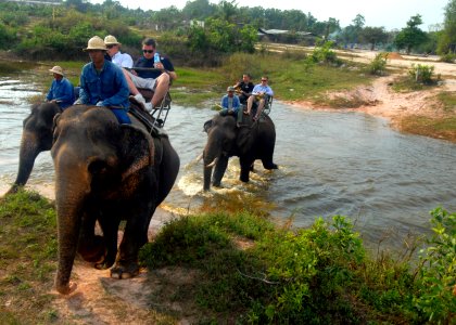 US Navy 090220-N-9950J-093 Sailors assigned to the forward-deployed amphibious assault ship USS Essex (LHD 2) ride Asian elephants during a Morale, Welfare and Recreation tour at the Pattaya Elephant Village photo