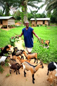 USAID in Liberia 2016 (27366868451) photo