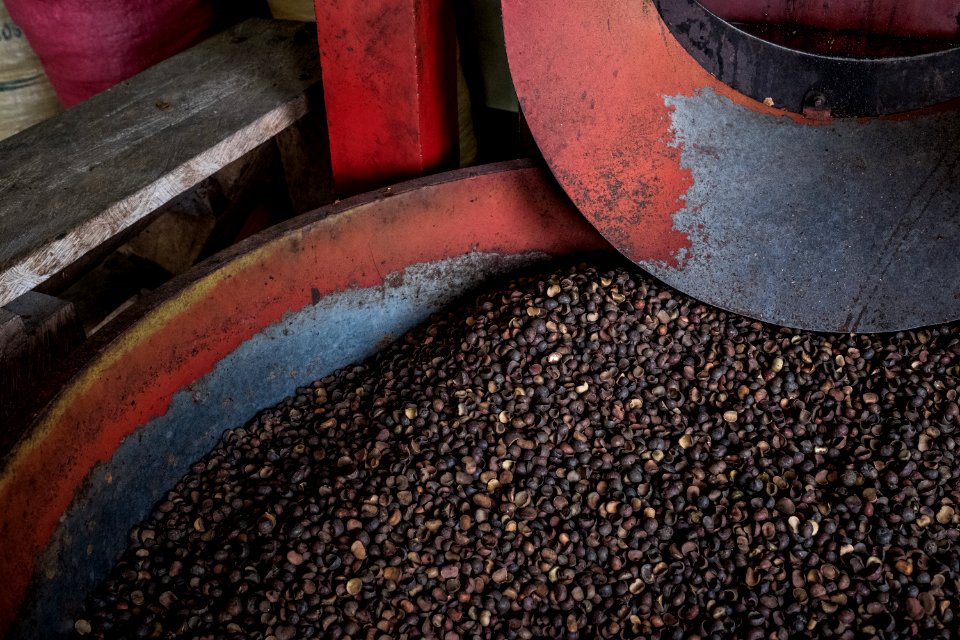 USAID Measuring Impact Conservation Enterprise Retrospective (Guatemala; Rainforest Alliance) (38495236310)