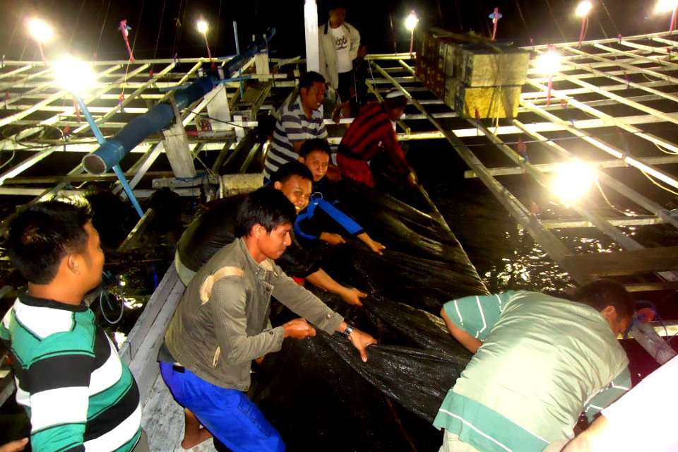 USAID Marine Project (9448942036)