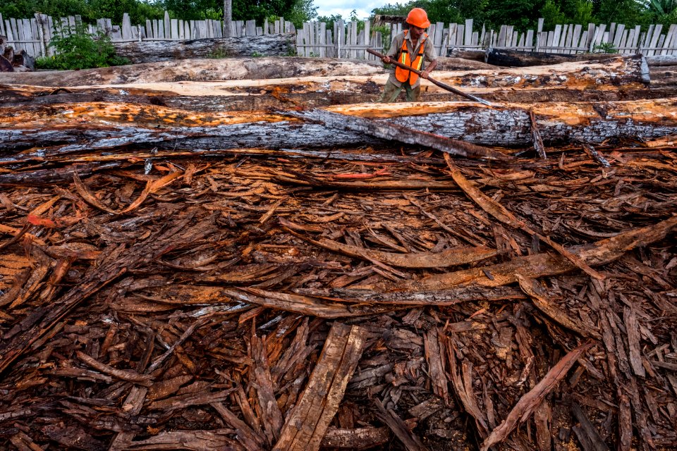 USAID Measuring Impact Conservation Enterprise Retrospective (Guatemala; Rainforest Alliance) (25433441687)