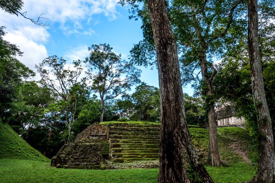USAID Measuring Impact Conservation Enterprise Retrospective (Guatemala; Rainforest Alliance) (25433618747)
