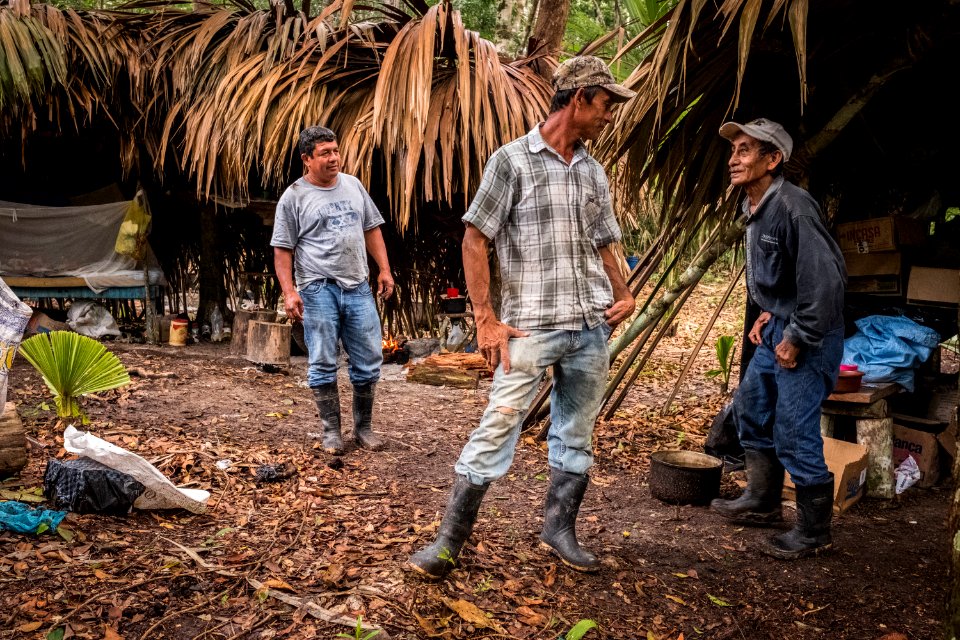 USAID Measuring Impact Conservation Enterprise Retrospective (Guatemala; Rainforest Alliance) (39592682894)