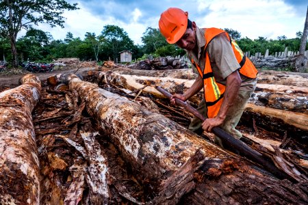USAID Measuring Impact Conservation Enterprise Retrospective (Guatemala; Rainforest Alliance) (39407072885)
