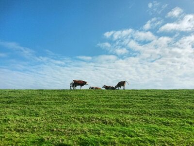 Sky landscape rest