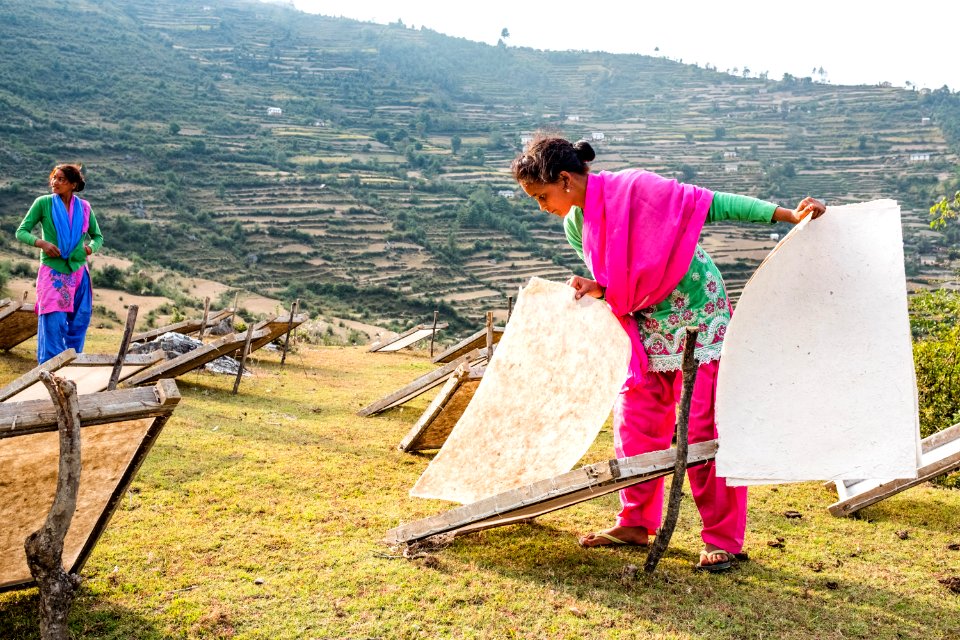 USAID Measuring Impact Conservation Enterprise Retrospective (Nepal; Asian Network for Sustainable Agriculture and Bioresrouces) (25423010277)