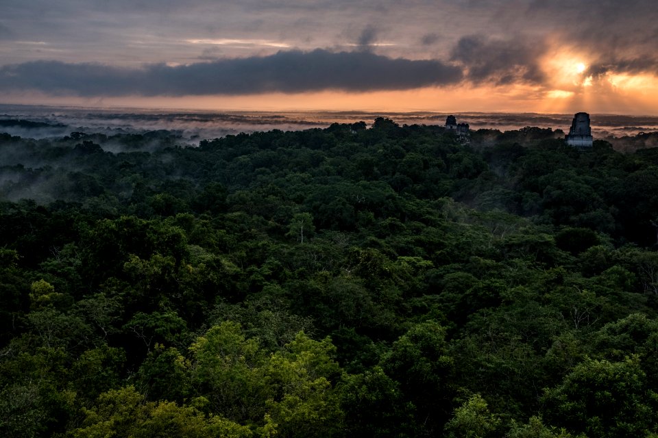 USAID Measuring Impact Conservation Enterprise Retrospective (Guatemala; Rainforest Alliance) (38494930130)