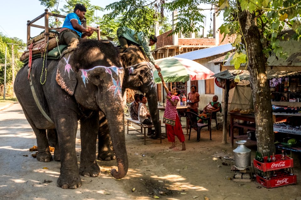 USAID Measuring Impact Conservation Enterprise Retrospective (Nepal; National Trust for Nature Conservation) (25429685607)