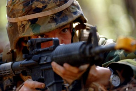 US Navy 090317-N-3674H-004 A Seabee assigned to Naval Mobile Construction Battalion (NMCB) 74 aims an M-16 service rifle during a field training exercise at Camp Shelby, Miss photo