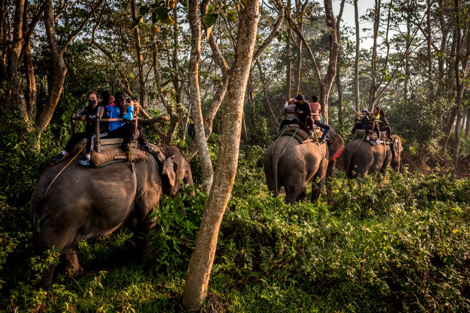 USAID Measuring Impact Conservation Enterprise Retrospective (Nepal; National Trust for Nature Conservation) (38491639470)