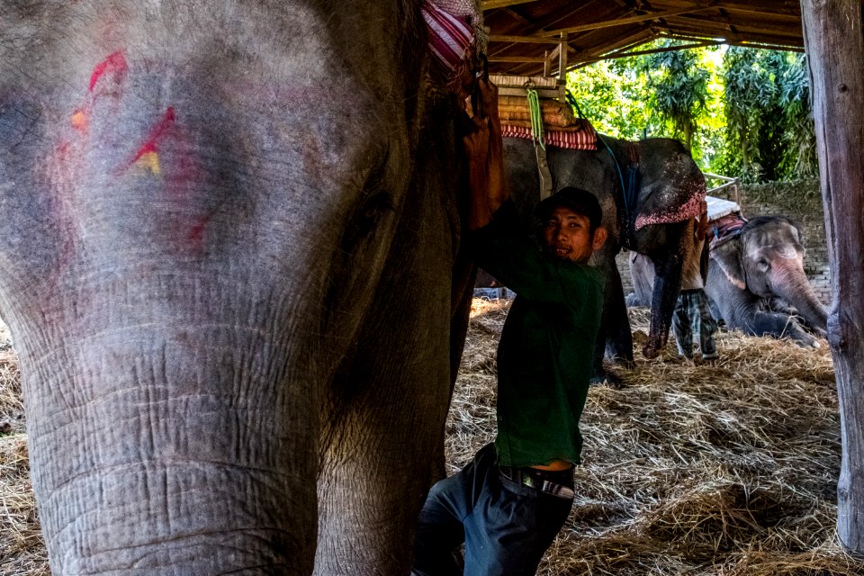 USAID Measuring Impact Conservation Enterprise Retrospective (Nepal; National Trust for Nature Conservation) (26428614218)