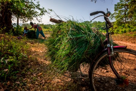 USAID Measuring Impact Conservation Enterprise Retrospective (Nepal; National Trust for Nature Conservation) (39589613774)