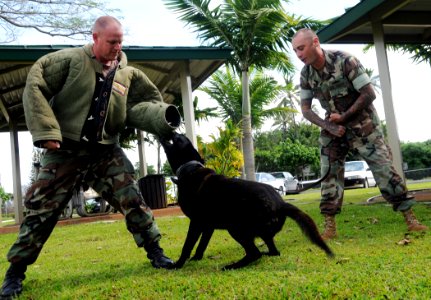 US Navy 090309-N-3666S-045 Master-At-Arms 2nd Class Michael Hartter, left, and Master-At-Arms 2nd Class Jeye Pena, both assigned to Naval Station Pearl Harbor Security, conduct bite-work training with military police working do