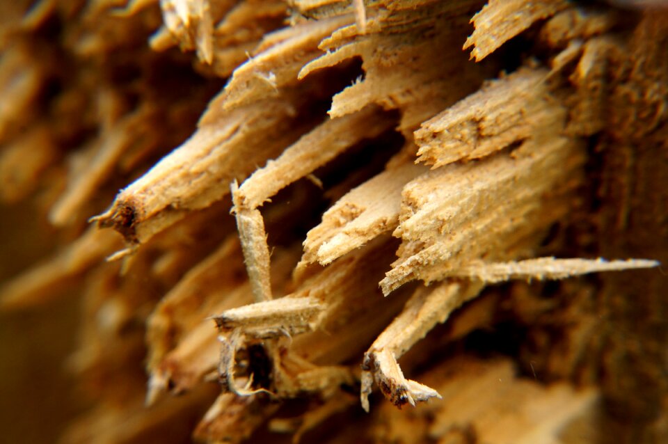Lumberyard rotting structure