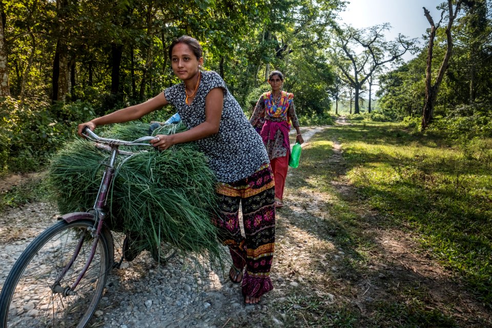 USAID Measuring Impact Conservation Enterprise Retrospective (Nepal; National Trust for Nature Conservation) (25430085877)