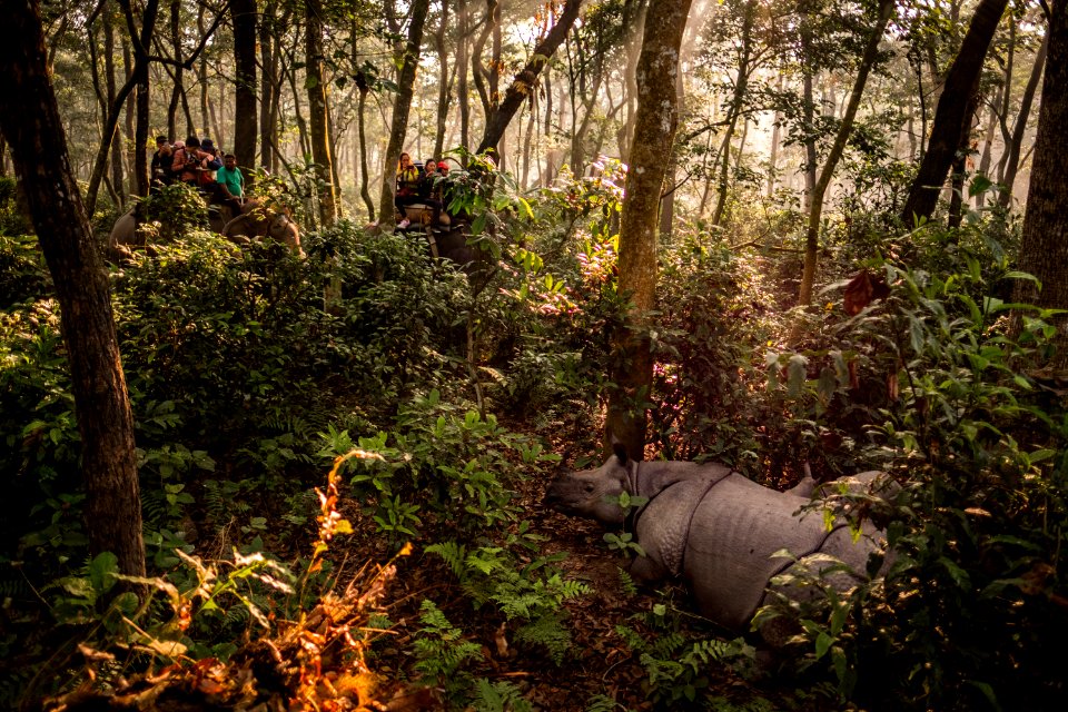 USAID Measuring Impact Conservation Enterprise Retrospective (Nepal; National Trust for Nature Conservation) (39589406574)