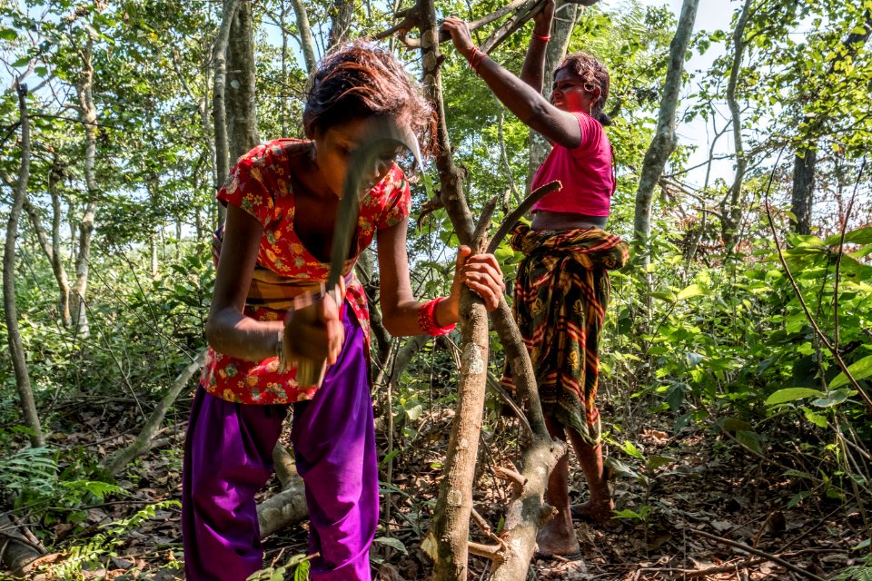 USAID Measuring Impact Conservation Enterprise Retrospective (Nepal; National Trust for Nature Conservation) (40255759232)