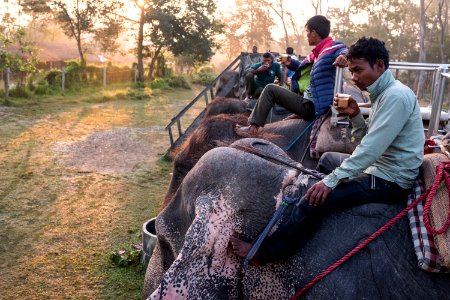USAID Measuring Impact Conservation Enterprise Retrospective (Nepal; National Trust for Nature Conservation) (40301016381)