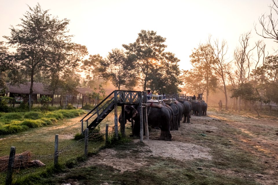 USAID Measuring Impact Conservation Enterprise Retrospective (Nepal; National Trust for Nature Conservation) (39403629215)