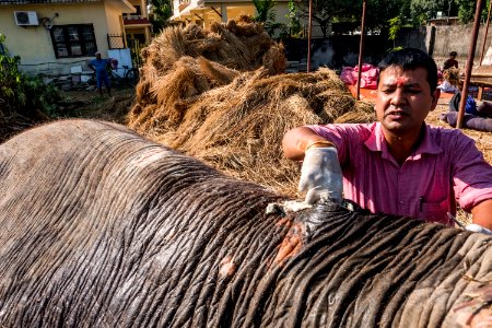 USAID Measuring Impact Conservation Enterprise Retrospective (Nepal; National Trust for Nature Conservation) (40256101072)