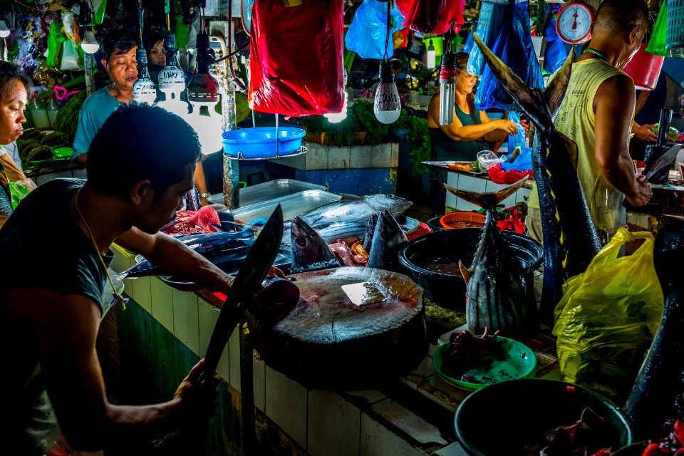 USAID Measuring Impact Conservation Enterprise Retrospective (Philippines; Nagkakaisang Tribu ng Palawan) (26420473488)