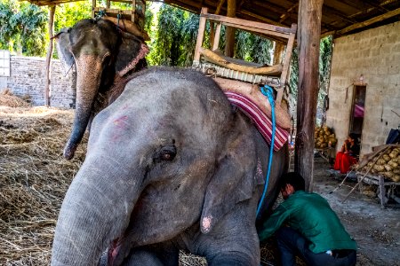 USAID Measuring Impact Conservation Enterprise Retrospective (Nepal; National Trust for Nature Conservation) (40300908341)