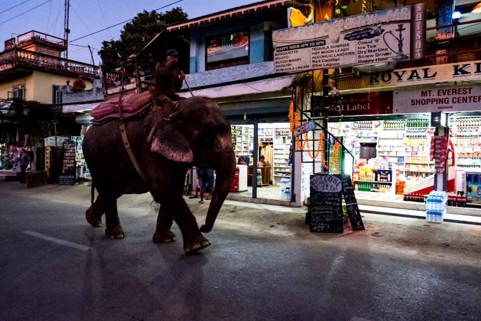 USAID Measuring Impact Conservation Enterprise Retrospective (Nepal; National Trust for Nature Conservation) (40301347231)