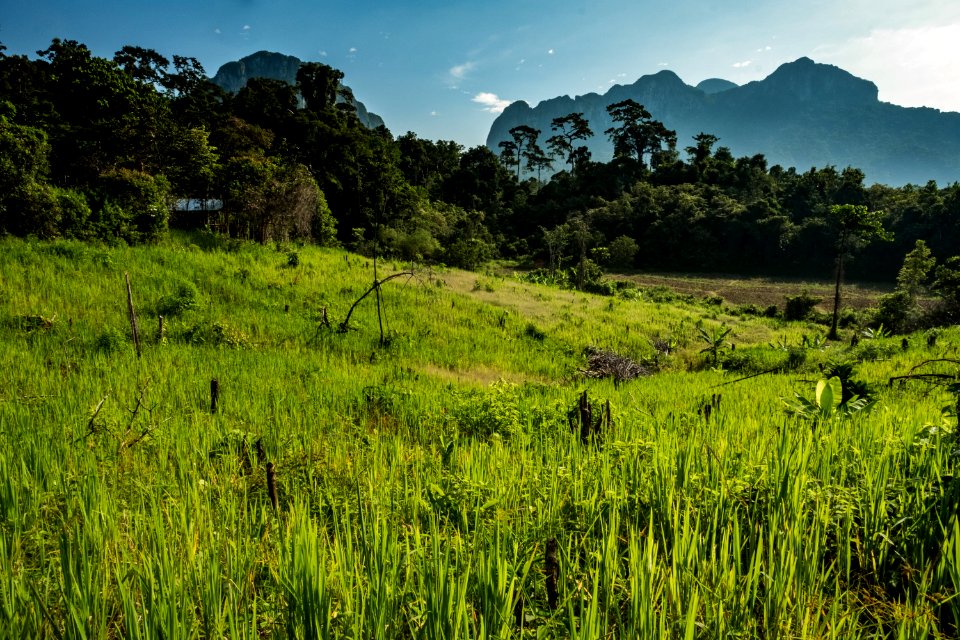 USAID Measuring Impact Conservation Enterprise Retrospective (Philippines; Nagkakaisang Tribu ng Palawan) (38483348260)