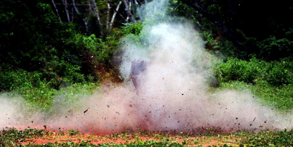 US Navy 090321-N-7130B-263 A simulated improvise explosive device is detonated during a Subject Matter Expert Exchange photo